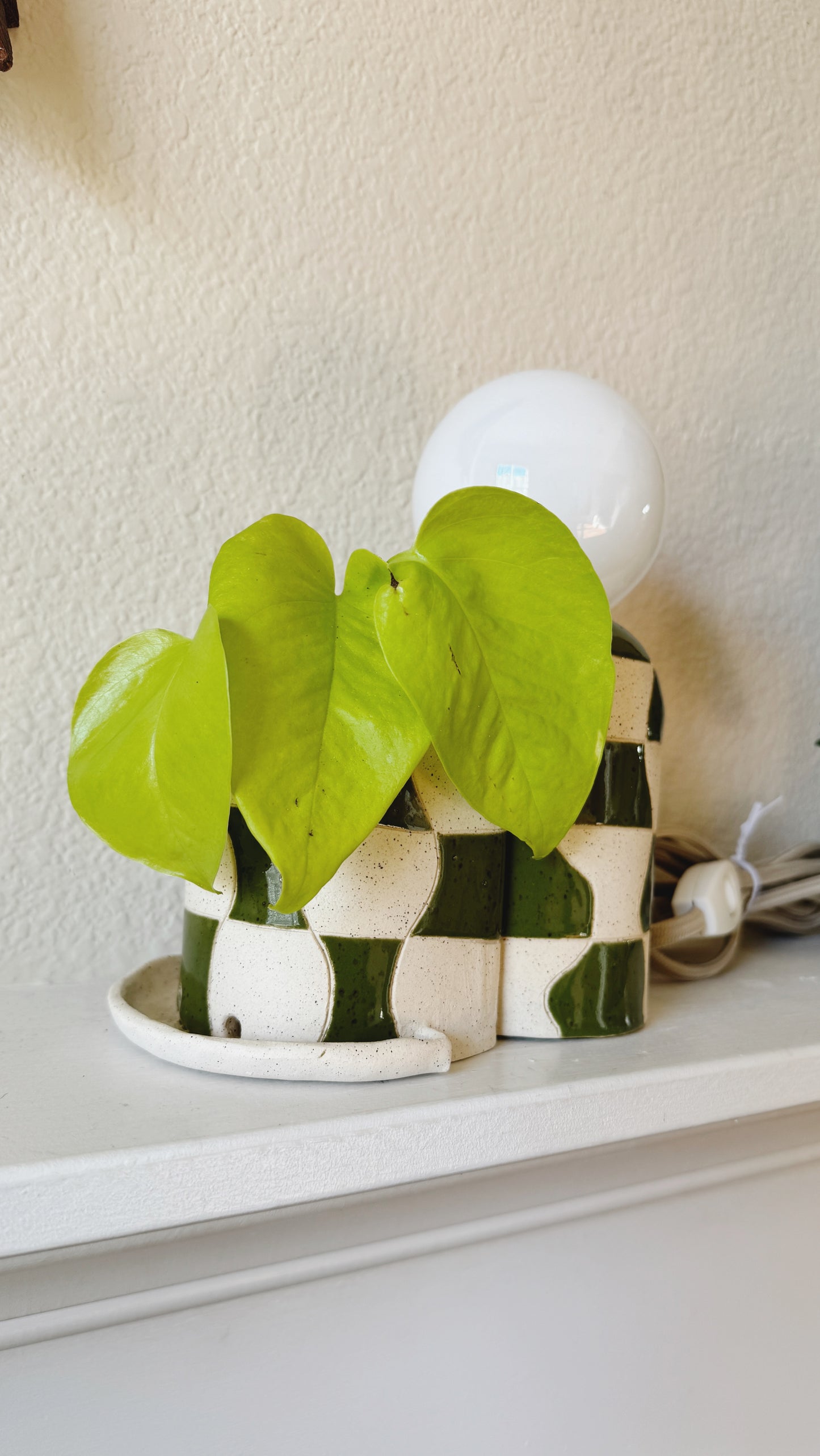 Mini Forest Green wave checkered lamp & planter